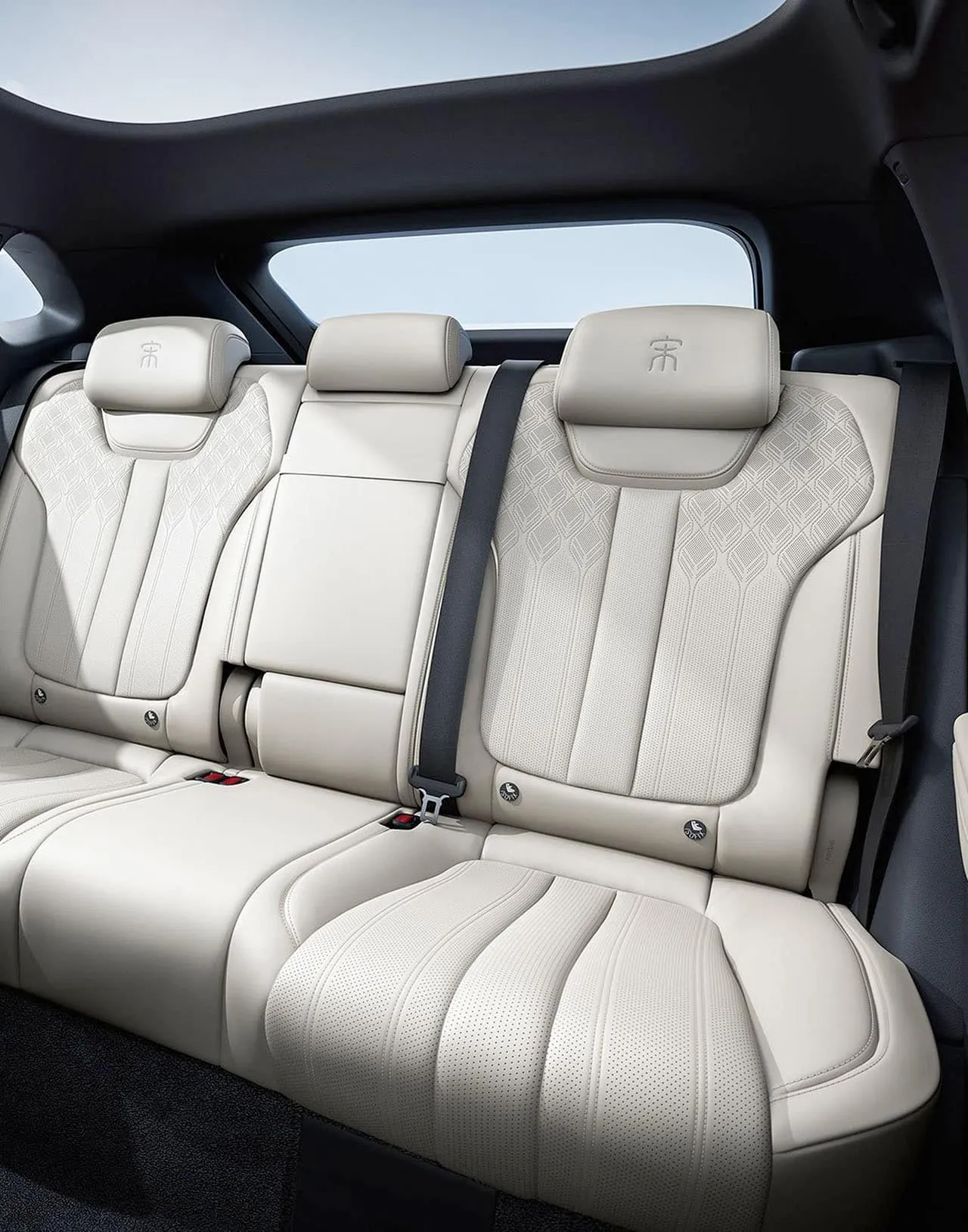 BYD SONG L 4WD Edition — vedere din spate — ECOMOTION Moldova