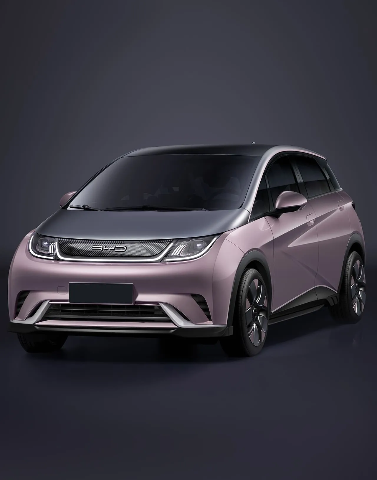 BYD Dolphin (2025) — vedere din față — ECOMOTION Moldova