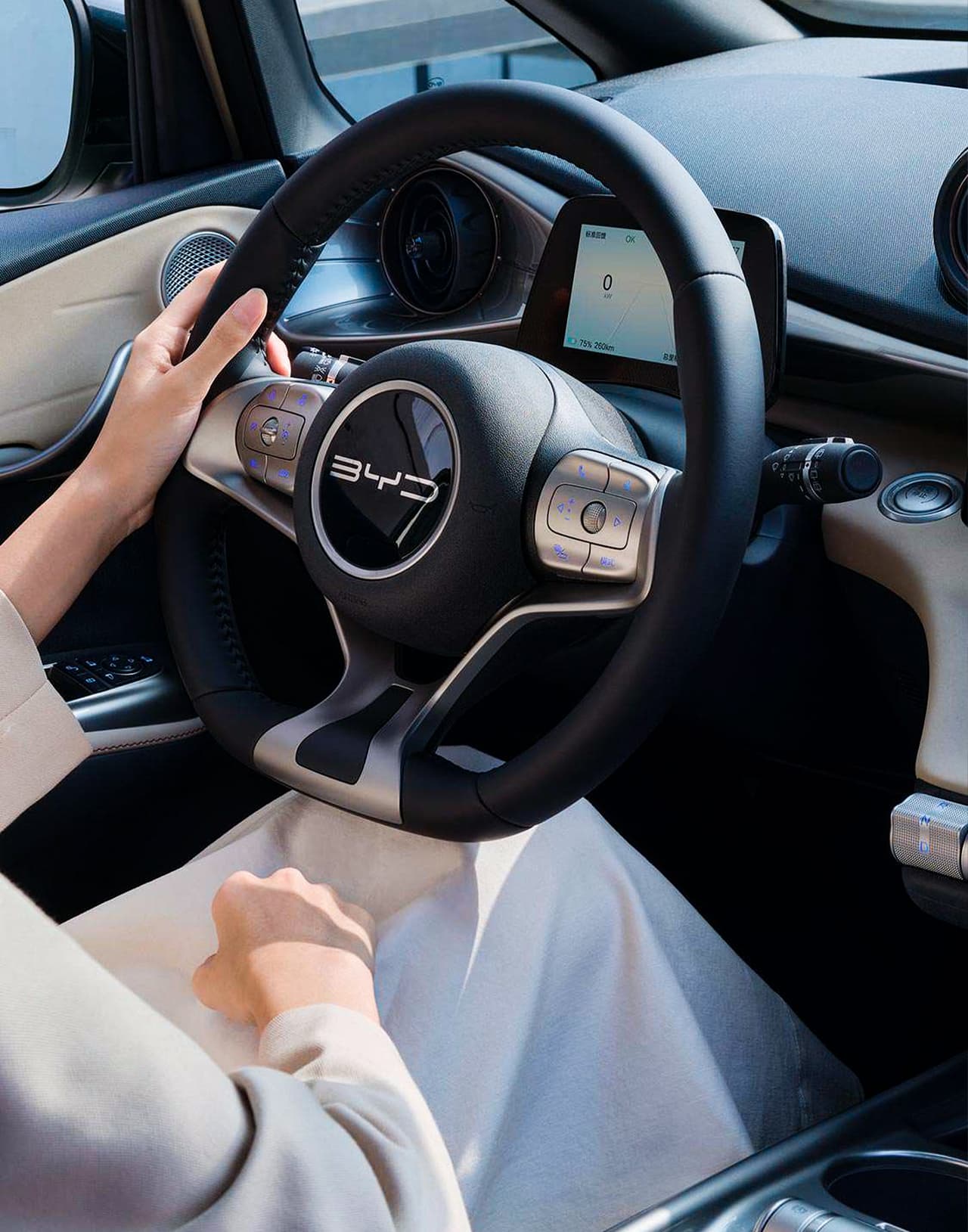 BYD Dolphin - руль компактного электромобиля в Молдове